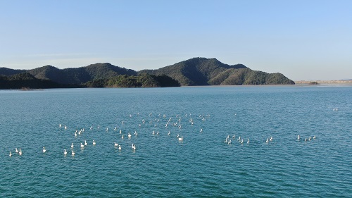 1647589809397089609.jpg 江銅集團(tuán)德興銅礦4號庫-3.jpg